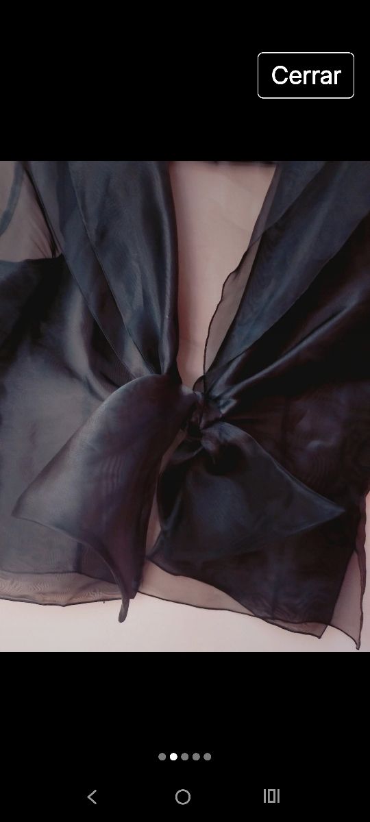Blusa negra transparente