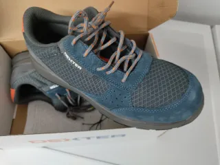 Zapatos de seguridad Dexter azul/gris