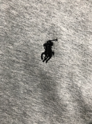 Sudadera Ralph Lauren Gris Cremallera Y Capucha