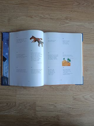 El llibre de les endevinalles (Catalan Edition)