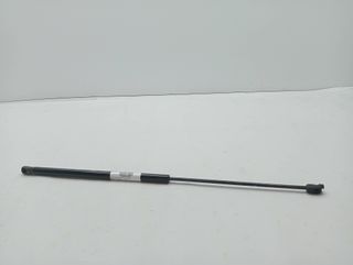 AMORTIGUADORES MALETERO / PORTON CITROEN C4 PICASSO (3)