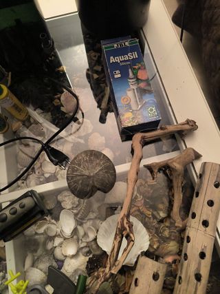 Filtros y accesorios para pecera