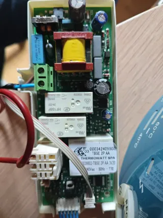 Fleck Nilo Electrónica de control.