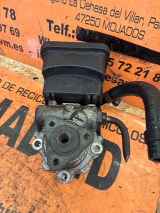 Bomba Dirección Asistida BMW 320i (E46)
