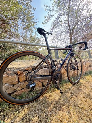 Scott Addict RC 10 año 2023
Talla S