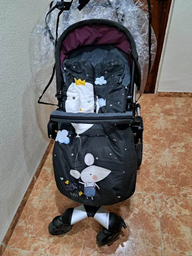 Carro de paseo completo