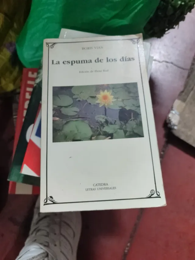 La espuma de los días (Letras universales