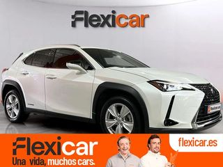 Lexus UX 2.0 250h Business