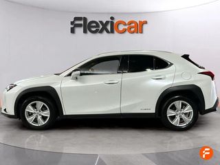 Lexus UX 2.0 250h Business