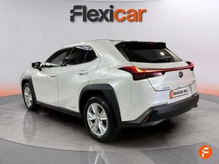 Lexus UX 2.0 250h Business