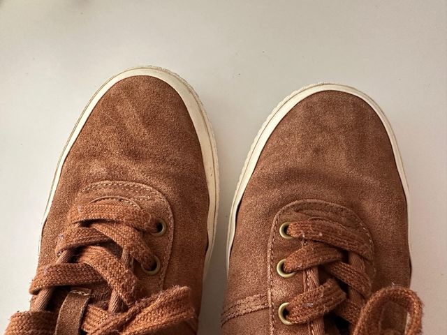 Zapatillas Polo Ralph Lauren Hombre Marrones