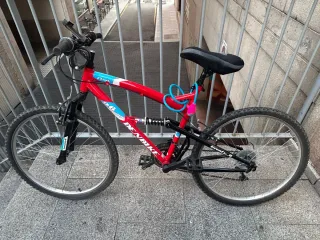 Bicicleta Denbike 26