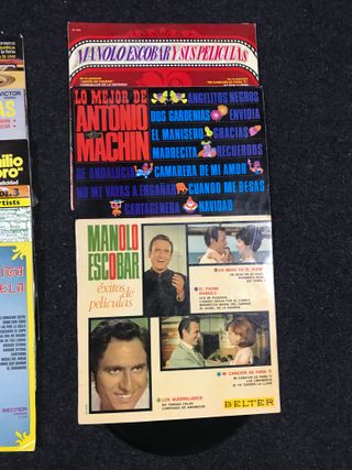 Lote 31 Discos de Vinilo