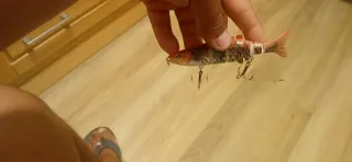 Señuelo de pesca articulado