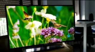 Televisor Philips 43” 4K UHD Smart TV