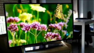Televisor Philips 43” 4K UHD Smart TV