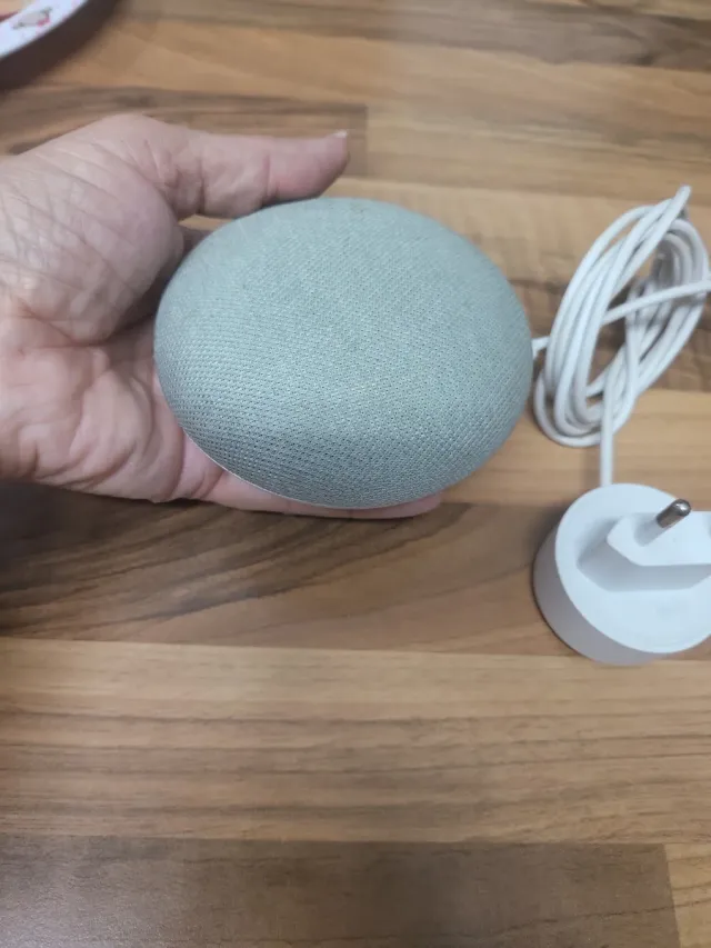 Google Home Mini Gris
