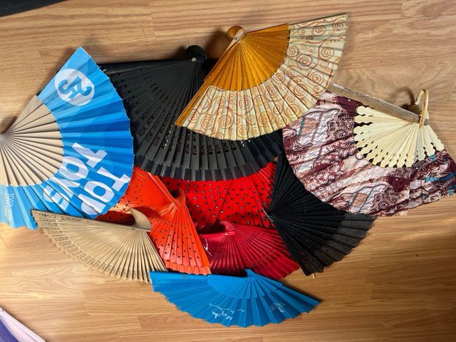Lote 19 Abanicos de Colores