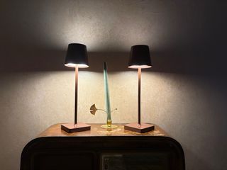 2 Lampade LED Ricaricabili Touch