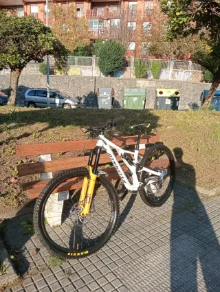 Specialized Stumpjumper Comp Alloy FSR 2019