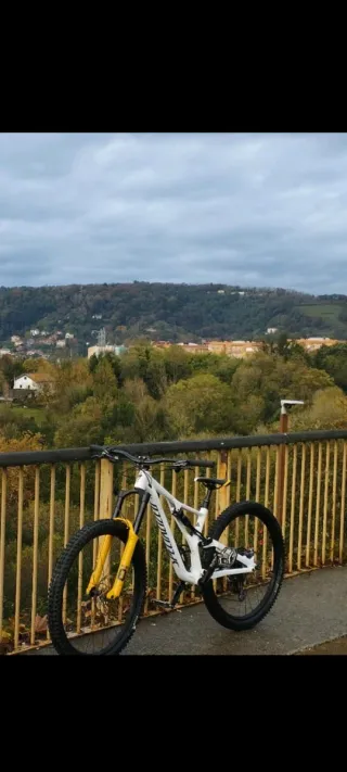 Specialized Stumpjumper Comp Alloy FSR 2019