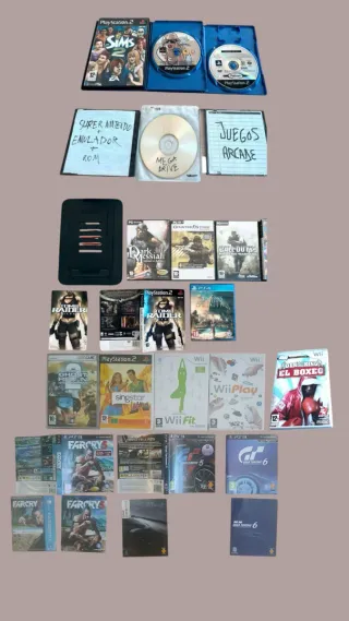 Lote Consolas PS2, PC, Wii y Accesorios