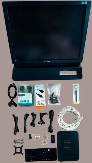 Lote Consolas PS2, PC, Wii y Accesorios