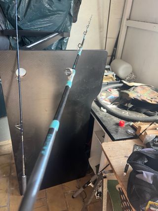 Cañas de pesca