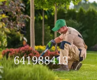 Servicios Jardinería particular