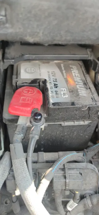 Bueno se vende baterías de Citroën C4 Picasso con
