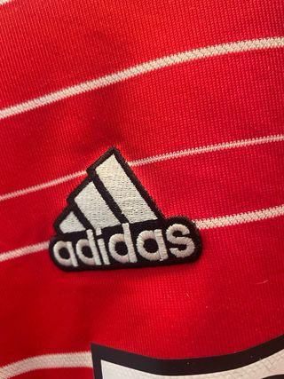 Camiseta Bayern Múnich 22/23 Adidas