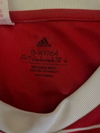 Camiseta Bayern Múnich 22/23 Adidas