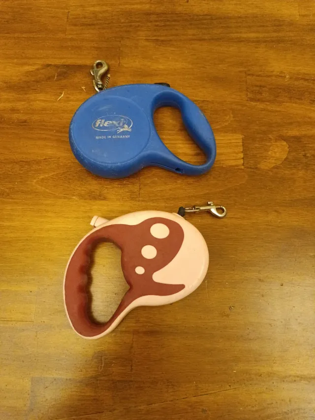 Correas Flexi para Perro (Azul y Rosa)