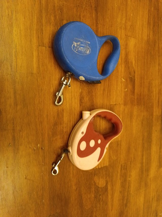 Correas Flexi para Perro (Azul y Rosa)