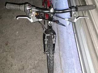 Bicicleta Infantil DTB 20 Roja y Negra