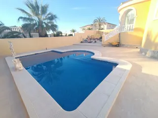 Albañil profesional - Alicatador