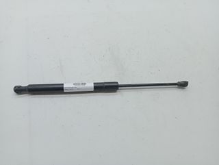 AMORTIGUADORES CAPO RENAULT CLIO IV (5)