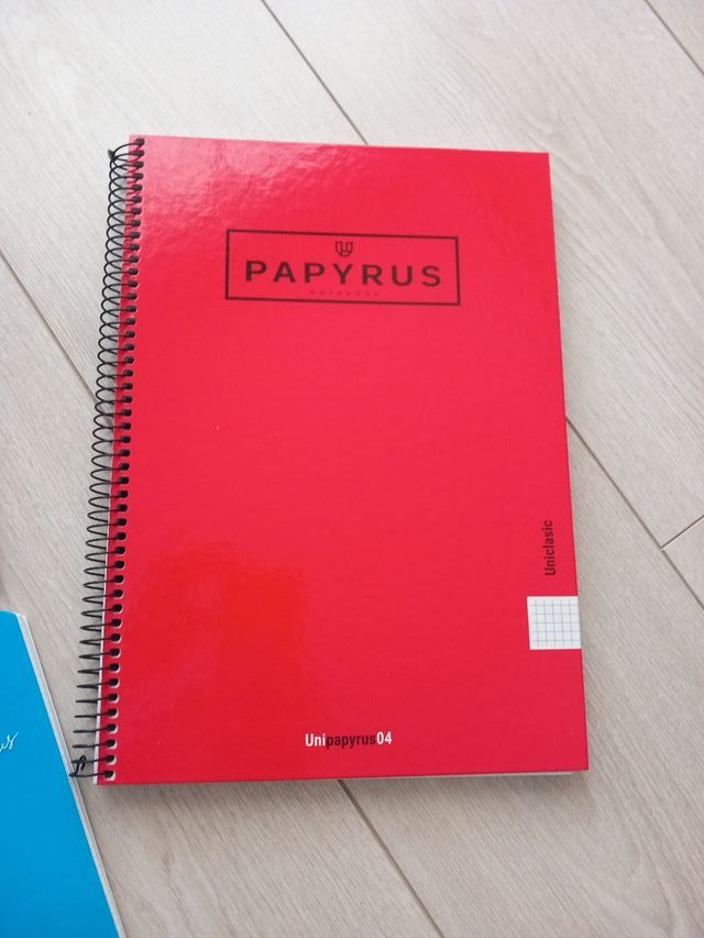 Lote 5 Cuadernos Enri y Papyrus