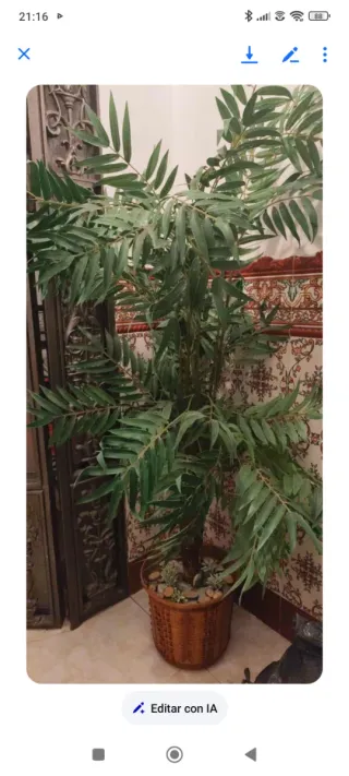 Planta artificial decorativa