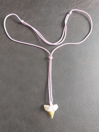 Colgante Rosa de fosil de Otodus