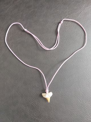 Colgante Rosa de fosil de Otodus