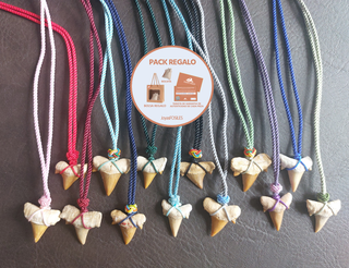 Colgante Rosa de fosil de Otodus