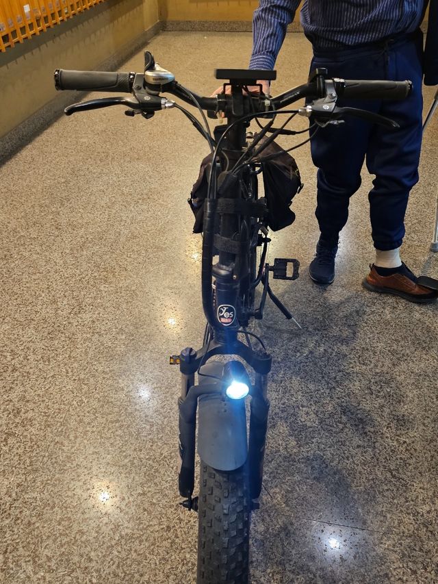 Bicicletta Elettrica