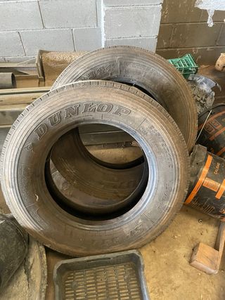 Neumáticos Dunlop SP 344
