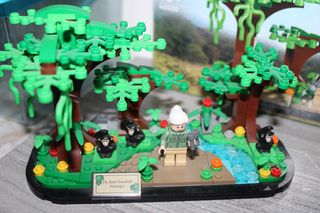 Lego 40530 omaggio a Jane Goodall