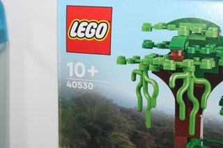 Lego 40530 omaggio a Jane Goodall