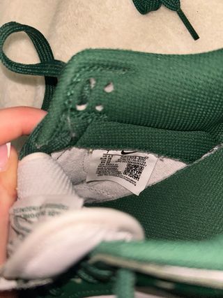 Nike Dunk Verdes y Azules