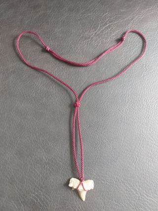 Colgante Burdeos con fósil de Otodus