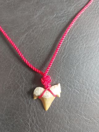 Pieza de Otodus Fósil Colgante Rojo