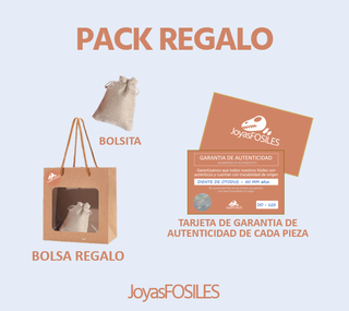 Pieza de Otodus Fósil Colgante Rojo